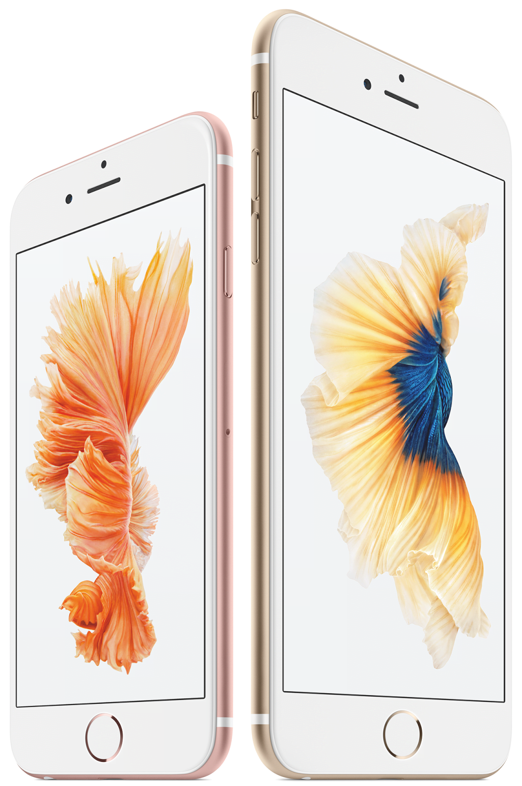 iPhone6s 6splus | It's here now, the iPhone 6s & iPhone 6s Plus | Bond High Plus